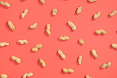 Fıstık fındık lay düz desen