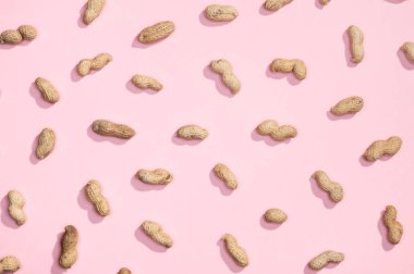 Fıstık fındık lay düz desen