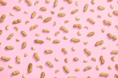 Fıstık ve kaju fıstığı düz