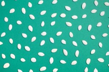 Kabak Çekirdeği düz beyaz yatıyordu