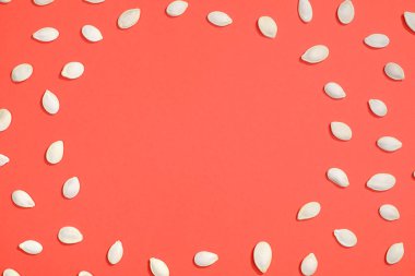 Kabak Çekirdeği düz beyaz yatıyordu