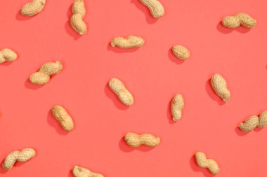 Fıstık fındık lay düz desen