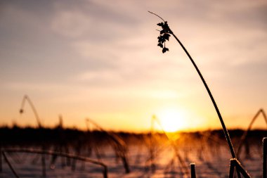 Gölde kış günbatımı
