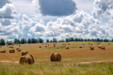 Saman balya ile yaz aylarında manzara