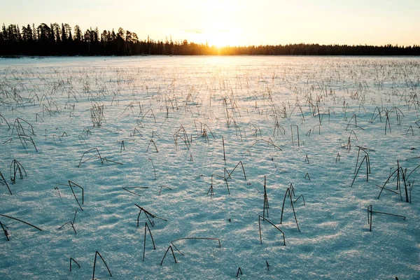 Μαγική Ανατολή ηλίου στη λίμνη χιόνι που καλύπτει — Φωτογραφία Αρχείου