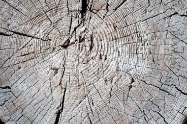 Koyu renk ahşap. Soyut arkaplan