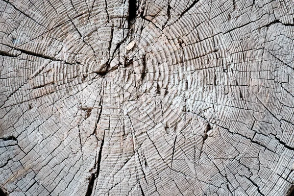 Koyu renk ahşap. Soyut arkaplan