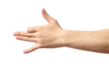 Köpek suratı izole gösteren erkek el jest