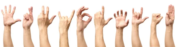 Manlig hand gest och tecken samling isolerade över vita bakgr — Stockfoto
