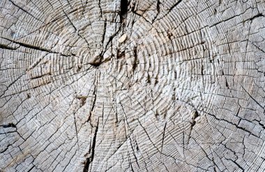 Koyu renk ahşap. Soyut arkaplan