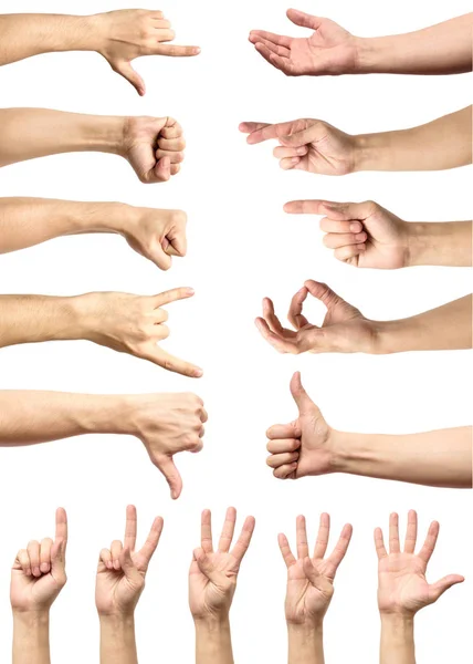 Multiple male caucasian hand gestures isolated over the white ba — Stock Photo, Image