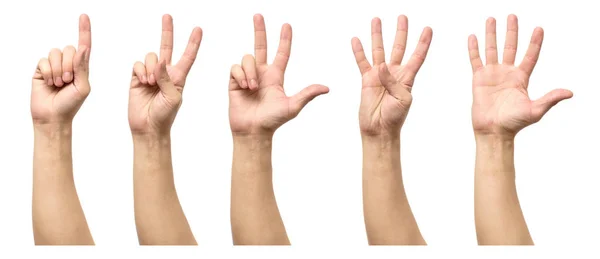 Manliga händer räkna från ett till fem. isolerade — Stockfoto