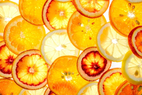 Orange, lemon, mandarin, red orange on white