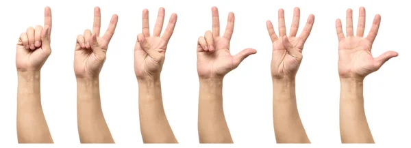 Cinco manos masculinas contando aisladas en blanco —  Fotos de Stock