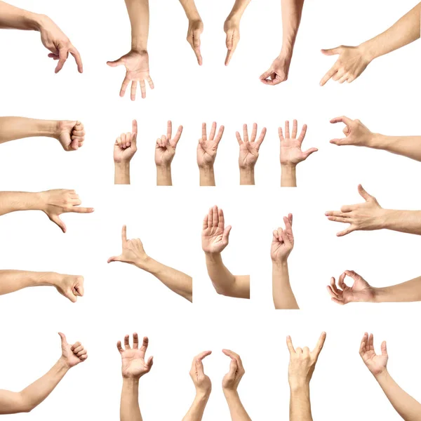 Multiple male caucasian hand gestures isolated over the white ba — Stock Photo, Image