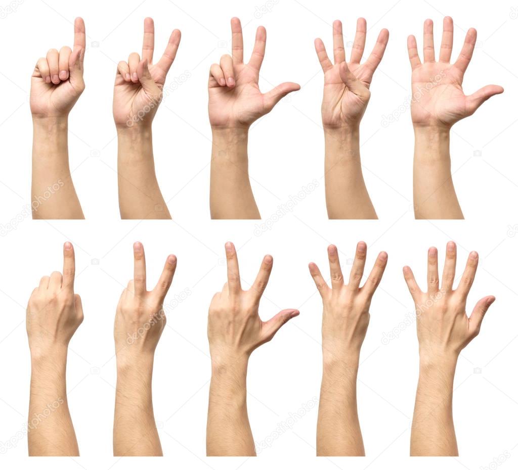 Male hands counting from one to five isolated