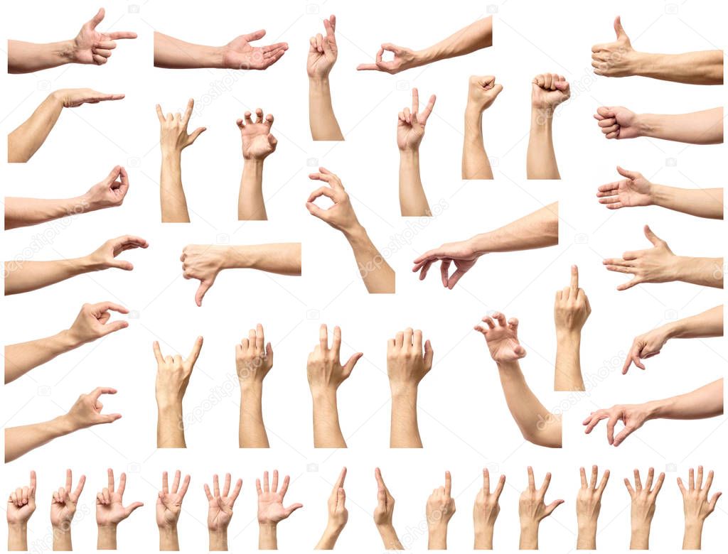 Multiple male caucasian hand gestures isolated over the white ba