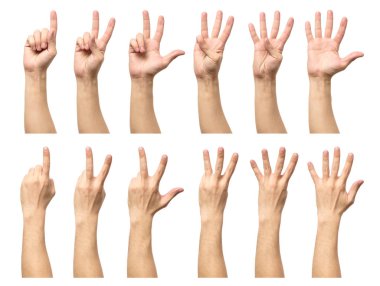 Beş erkek eller üzerinde beyaz izole sayma