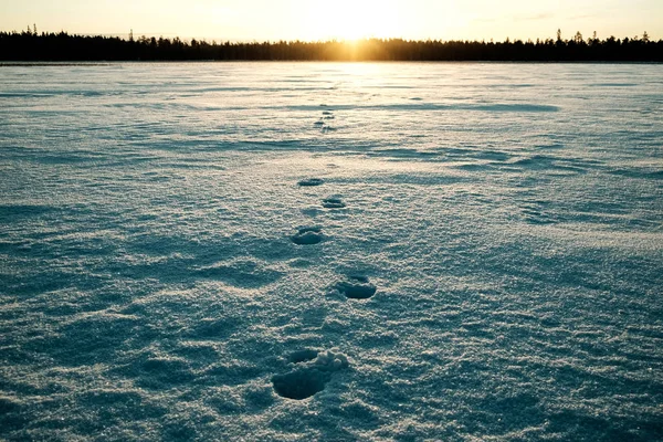 Man voetafdrukken op de sneeuw op een erg koud 's morgens — Stockfoto