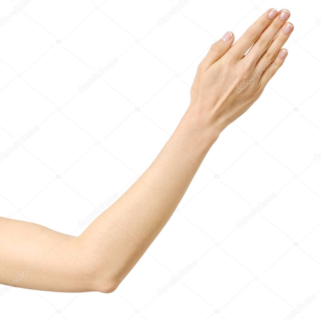 Stretched hand of woman isolated