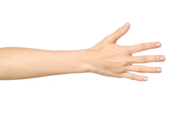 Mão esticada da mulher com palma aberta — Fotografia de Stock