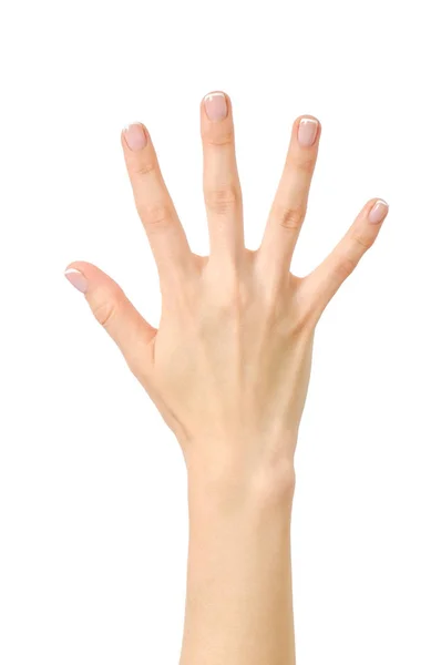 Handzählen. Fünf Finger. isoliert — Stockfoto