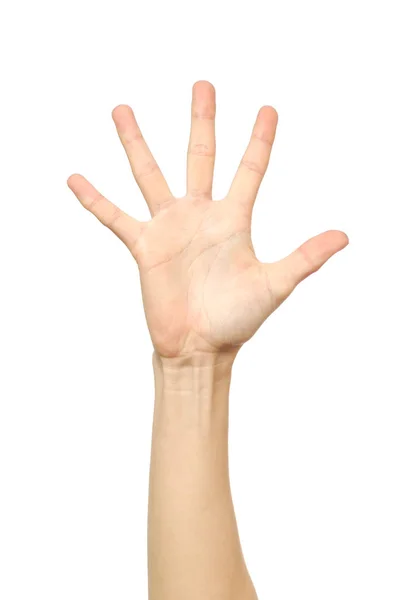 Hand tellen. Vijf vingers. Geïsoleerd — Stockfoto
