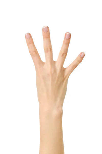 Hand counting. Four fingers. Isolated — Stock Photo, Image