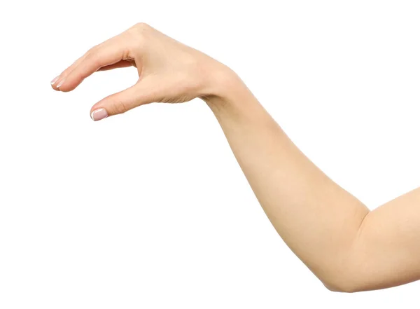 La mano de la mujer agarrando o midiendo algo — Foto de Stock