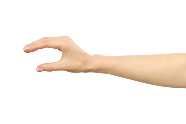 Woman's hand grabbing or measuring something — Stock Photo, Image