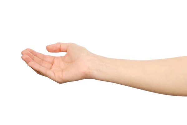 Beyaz izole kadının avuç