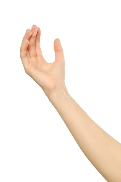 Die offene Handfläche der Frau isoliert auf weiß — Stockfoto