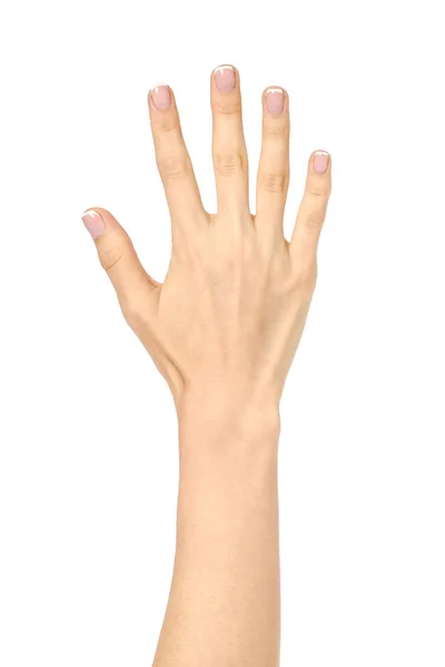 Die offene Handfläche der Frau isoliert auf weiß — Stockfoto