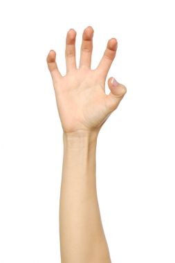 el bir şeye uzanıyor