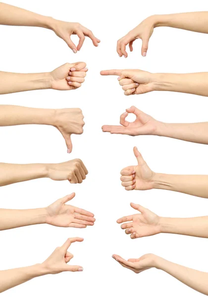 Female hand gestures and signs collection isolated — Stock Photo, Image