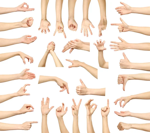 Múltiples gestos de la mano de la mujer aislados en blanco —  Fotos de Stock