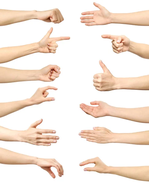 Female hand gestures and signs collection isolated — Stock Photo, Image