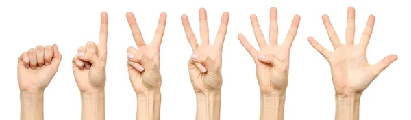 Aantal vrouwelijke hand teken geïsoleerd tellen — Stockfoto