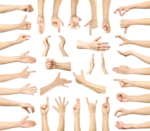 Birden çok görüntü kümesi izole kadın beyaz el hareketleri