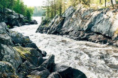 Güzel manzara dağlar, orman ve nehir