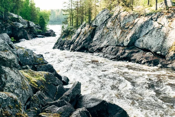 Güzel manzara dağlar, orman ve nehir