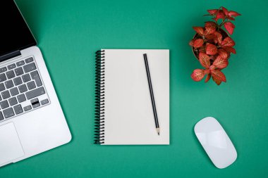 Renkli ofis resepsiyon masası ekipman ile