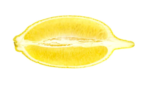 Textured ripe slice of lemon citrus fruit isolated — Stock Photo, Image