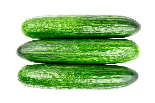 Taze yeşil salatalık üzerinde beyaz izole — Stok fotoğraf