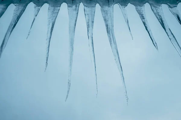 Group of  icicles against a winter evening sky — Stock Photo, Image