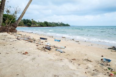 Plajda plastik döküldü. Ekolojik sorun kavramı