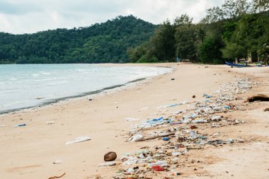 Plastik şişeler ve deniz sahilindeki diğer çöpler.