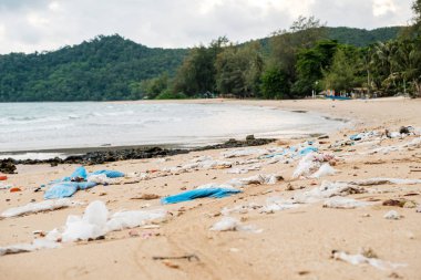 Plastik şişeler ve deniz sahilindeki diğer çöpler.