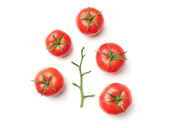Ramo de tomate isolado sobre fundo branco — Fotografia de Stock