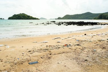Plastik şişeler ve deniz sahilindeki diğer çöpler.